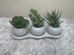 Faux Succulent Three Plant Modern Planter 3 x 9"